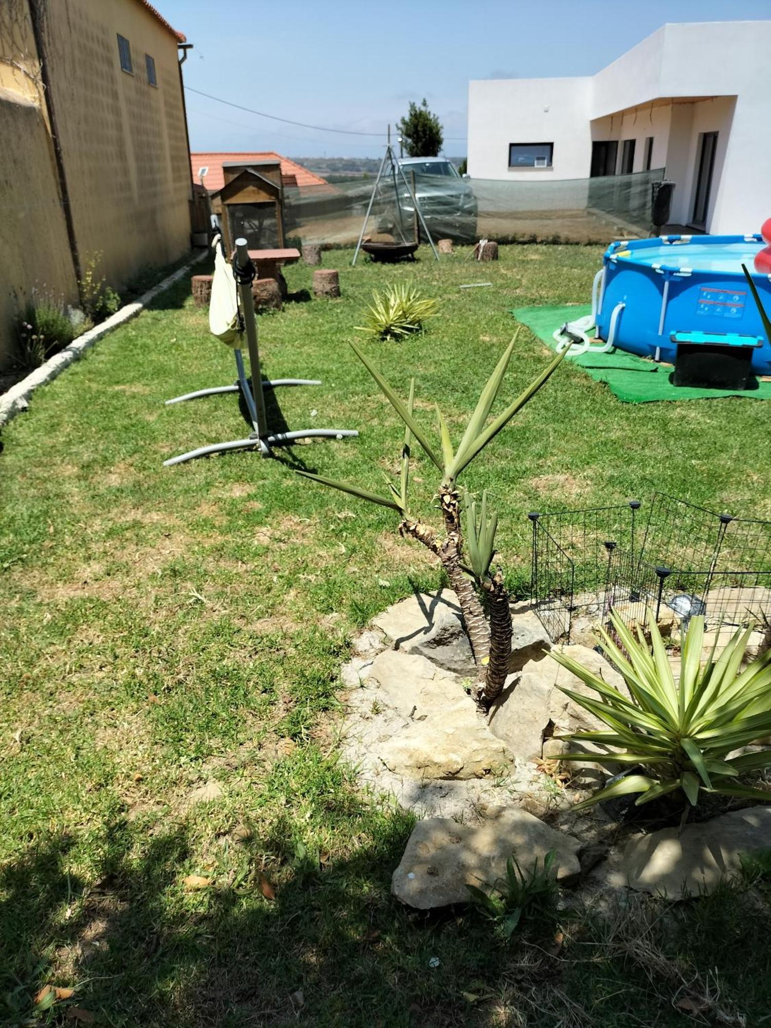 Dinocamp Vendégház Lourinhã Kültér fotó